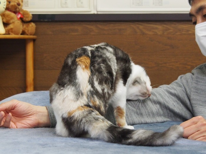 体全体で甘え倒す