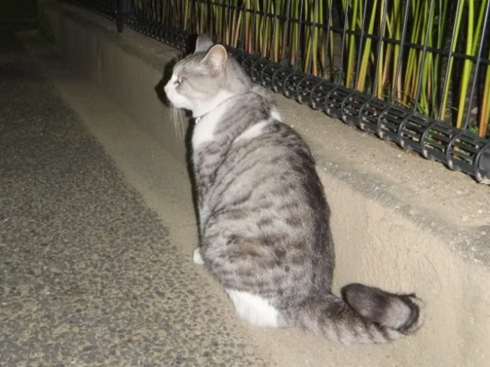 あの頃が懐かしいかって?忘れたよ、今がたのしいから