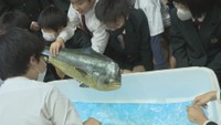 未来のおすしには魚が乗っていない? くら寿司が小学校でSDGsについて学ぶ授業 岡山市