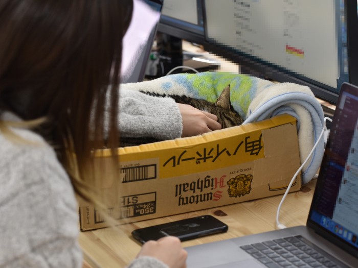 「いないと困る~」という声も(小林郁人撮影)