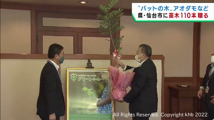 #木製バットの材料となるアオダモの苗木を宮城県と仙台市に贈呈
