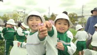 「たくさんとれたよ!」子どもたちがレンゲ摘み 岡山大学の農地を特別開放