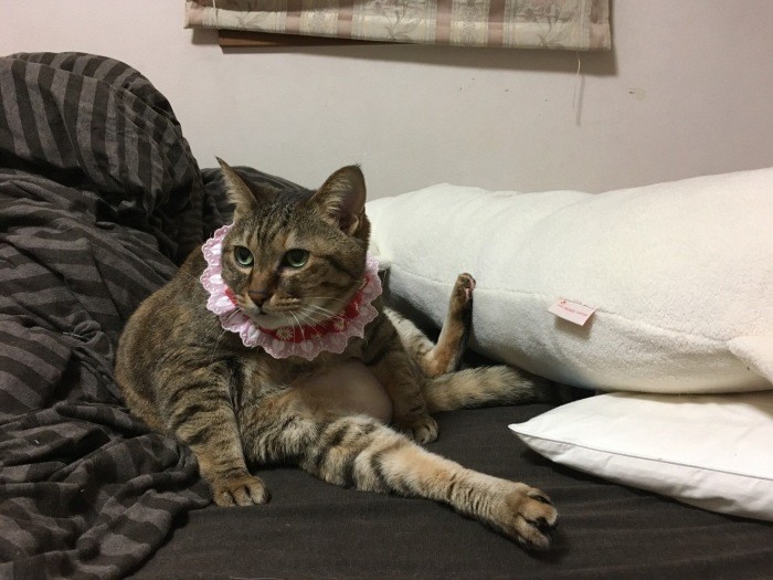 女の子だけど、りらーっくす!