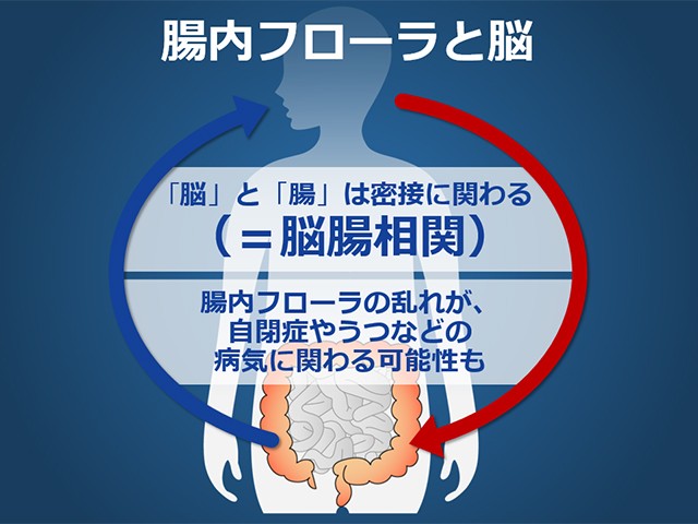 腸内フローラと脳