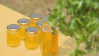新型コロナで売り上げ減少…厳しい状況続く中、パクチー農家が畑で“蜂蜜作り” 岡山