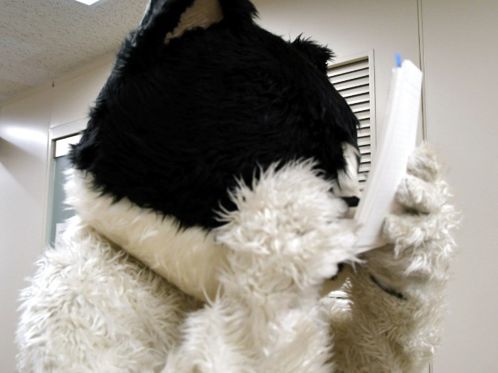 サインをするむぎ(猫)。とても近眼なのだそうだ