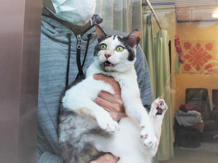 外を眺め「今日も雨。よく降るわね~」