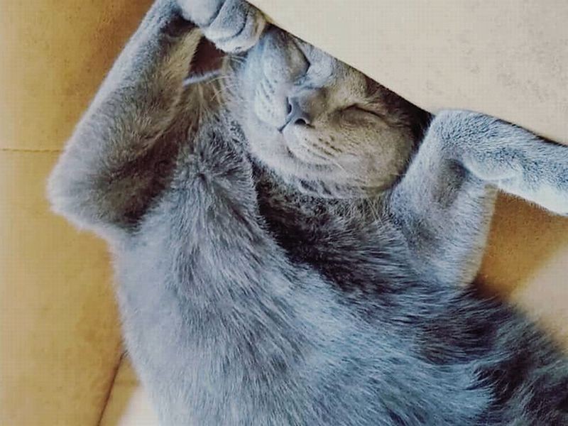 超、超リラックス