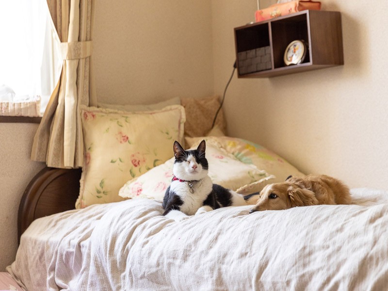 うとうとタイムに