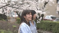 【特集】満開の桜の下で…さまざまな人間模様 花見客に聞く 岡山・香川