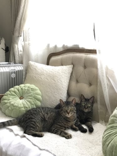 とにかくいつも一緒です (新井さん提供)