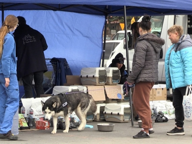 フランスの女優ブリジット・バルドーの財団