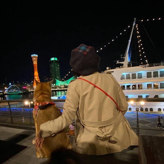 「きれいだね」一緒に幸せな時間を分かち合える相手がいるのって、本当に幸せなこと