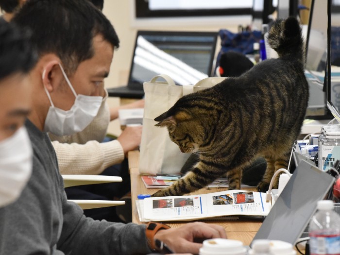 猫がいても邪魔ではありません(小林郁人撮影)