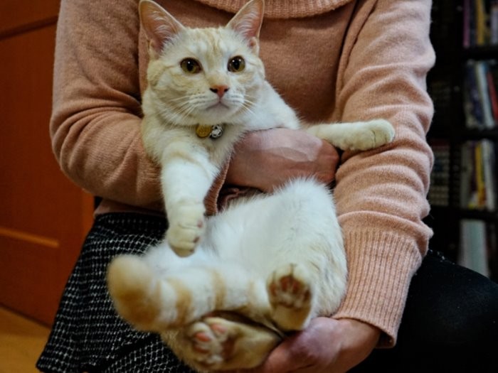 優佳ママに抱かれる栗太郎。成長しても甘えん坊 (庄辛琪 撮影)