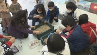 香川の12の島を一度に楽しむ! 子ども向けワークショップ「かがわ島フェスタ」開催