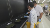 香川県産の新茶の初取引 収穫の最盛期は八十八夜を迎える5月2日ごろ