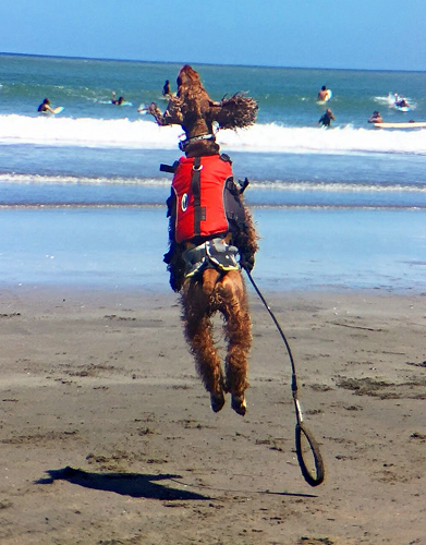 ボールをキャッチ