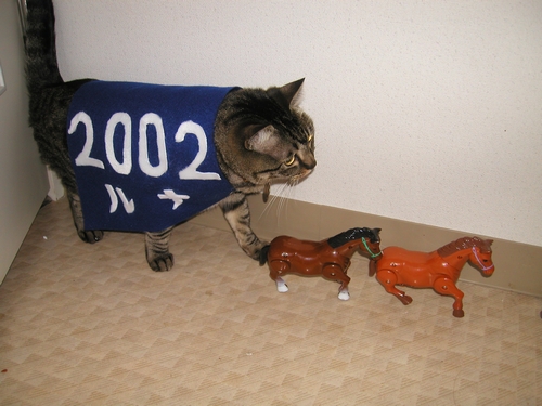 お馬を追いかけて歩く