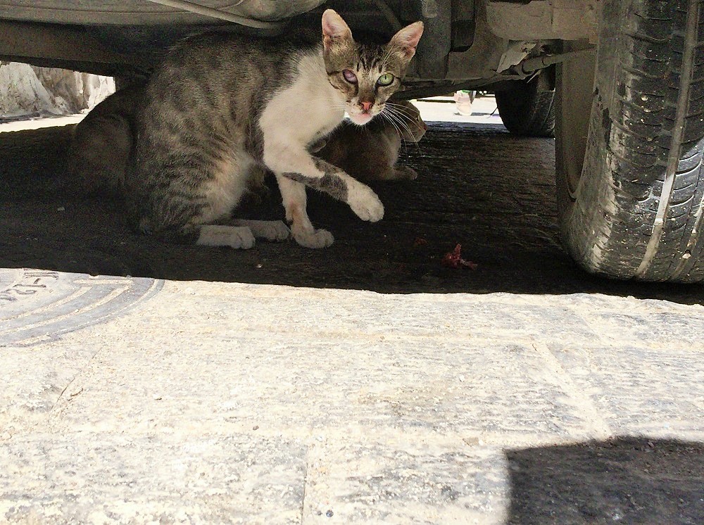 ちょっと、ウチ寄ってく?