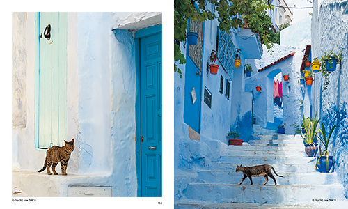 「世界の街猫」から