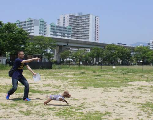 いつも遊んでいるボールを遠くへ投げ、それに向かって走らせる=神戸市
