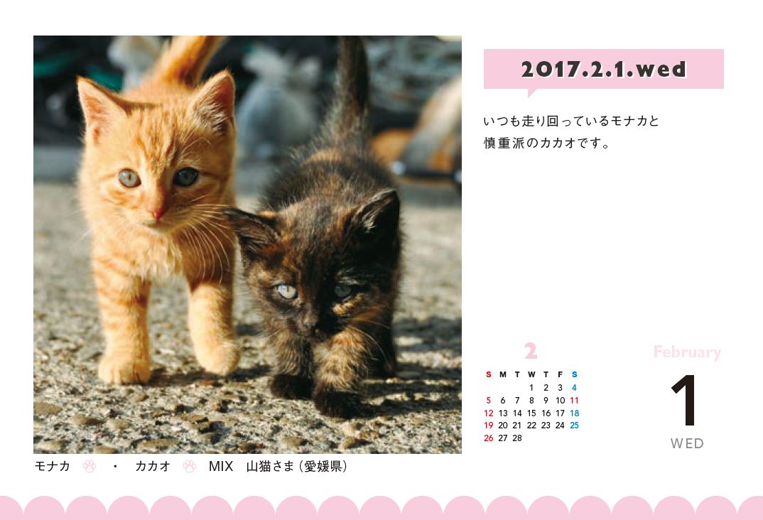 日めくりの中身をチラ見せ!=いずれもフェリシモ提供
