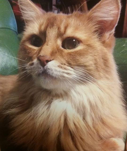 イケメンだったソマ。立ち居ふるまいに威厳が感じられる.さすが正式名「アレクサンドリア」!