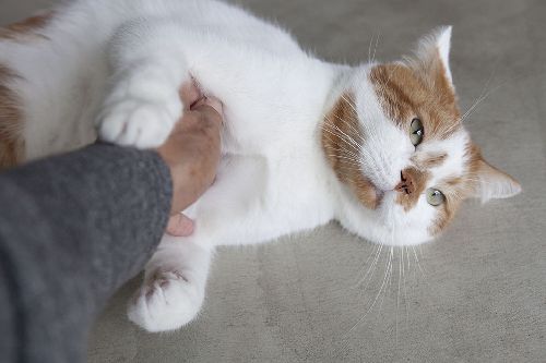 写真=井上佐由紀