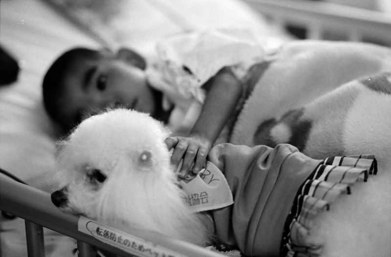 どんなに具合が悪いときでも、犬に会うのを楽しみにしていた女の子(2008年撮影)(c)大塚敦子