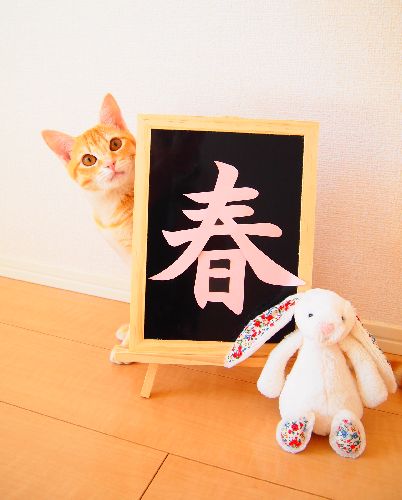 五十嵐さんがコーディネート力をほめた理恵さんの写真