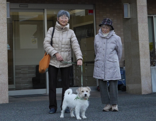 玄関先でカートから出します