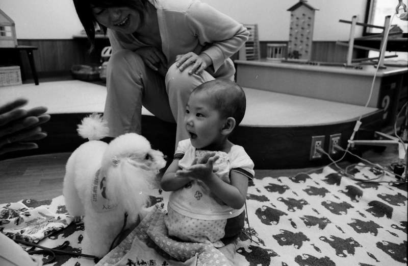 犬が自分の手からおやつを食べてくれて、「やったー」(2008年撮影)(c)大塚敦子