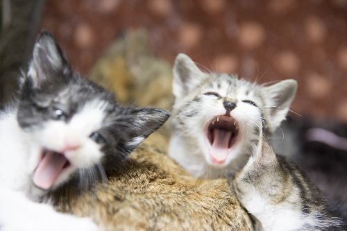 五十嵐健太 撮影