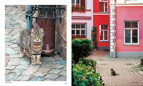 「世界の街猫」から