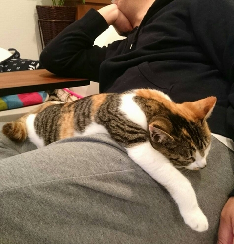 お父さんの膝でぐたーっと寝るのが得意