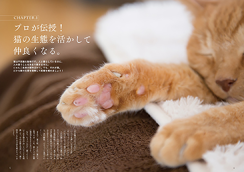 『猫とLOVE LOVE 気まぐれ猫になついてもらう秘密の方法』(宝島社)から