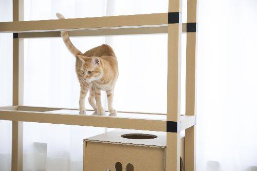 五十嵐健太撮影