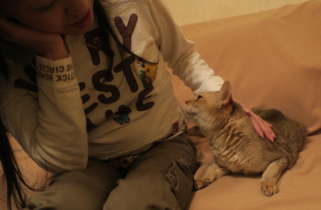 ピナは気づくとのりこさんの傍らにいる(ィーちゃんがいる時は遠慮がちだった)