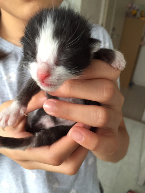 父の友人から深谷家に送られた最初の画像