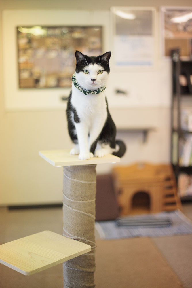 撮影:五十嵐健太