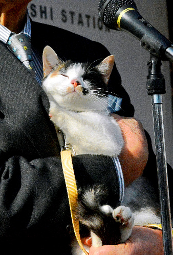 和歌山電鉄の駅長見習いとして勤務する「よんたま」