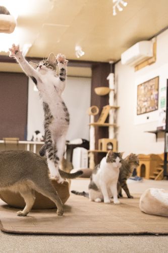 五十嵐健太 撮影