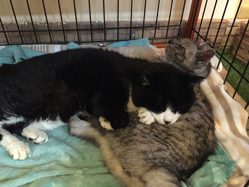 1年前、テツとの寝姿