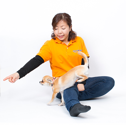 ジャンピング ②犬をジャンプさせてみよう (撮影 布川航太)