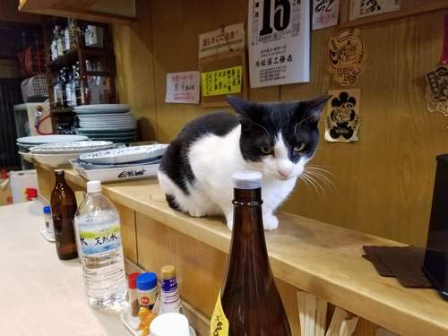 カウンターの上で=てまり