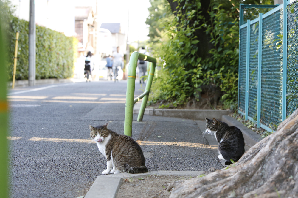 写真/山田裕之、徳永徹