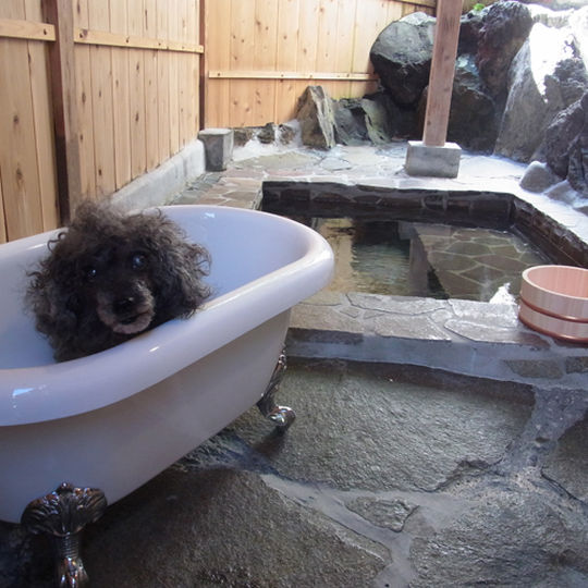 4位 伊豆高原の小さな隠れペット宿 ブランニューデイ(brand-new day) 犬専用のバスタブ