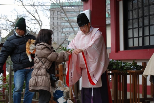 よき年になりますように(市谷亀岡八幡宮)
