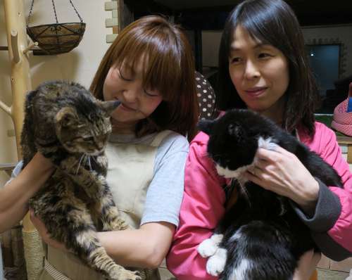 てっちゃん(右)を抱く渡部さんと、ビーちゃんを抱くスタッフの高橋さん=東京ペットホーム